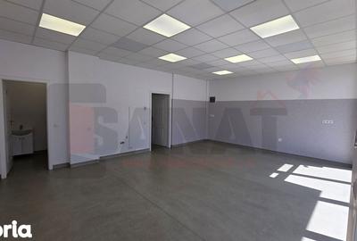 Spațiu comercial, de 60 mp, în Turnișor - 10