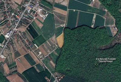 Teren de 554 mp, în Izvorani - 2