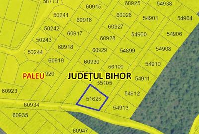 Teren de 1000 mp, în Săldăbagiu de Munte - 4