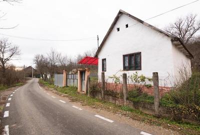 RECO Casa de vacanta la Holod- langa padure- teren 2190mp - 32