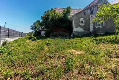 Casa cu gradina de vanzare in Copaceni - 3