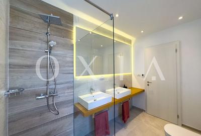 OX632 Stil si functionalitate la prima inchiriere in Timisoara - 15