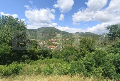 Cabana la rosu 150 mp cu teren de 3500 mp in Ampoita - 2