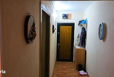 Apartament cu 2 camere decomandat, mobilat în Siderurgiștilor - 14