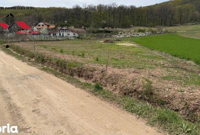 Teren de 833 mp, în Meteș - 5