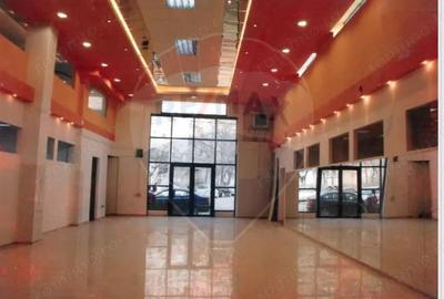 Spa?iu comercial de inchiriat Teiul Doamnei-Colentina - 3