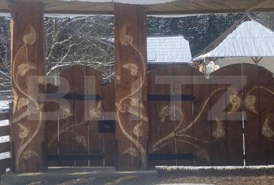 Casă cu 3 camere cu Teren 3450 Mp în Central