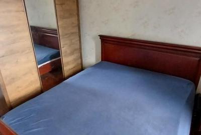 Apartament cu 3 camere semidecomandat, mobilat în Banu Manta - 8