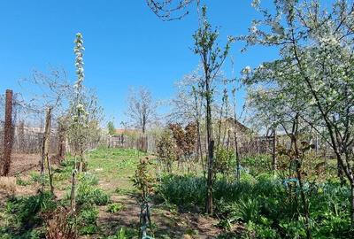 Casa - Caracal Olt - 12