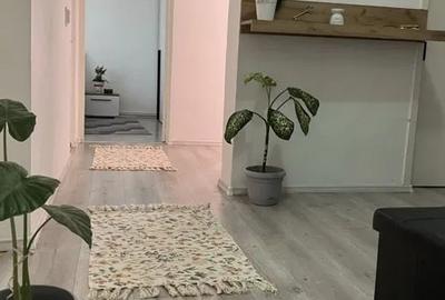 Apartament 3 camere renovat zona Craiter - 2