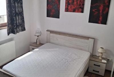 Apartament cu 2 camere decomandat în Exterior Vest - 9