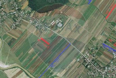 Teren 4,955mp in Nuci Ilfov, la numai 100 m de ultima cas... - 2