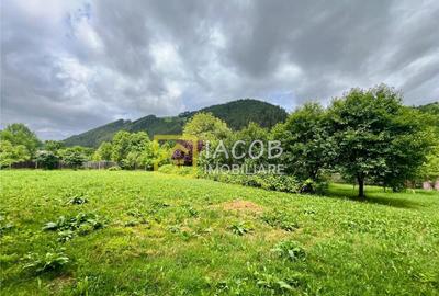 Casa la munte, comuna Bicazu Ardelean, jud. Neamt - 7