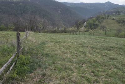 Teren de 10500 mp, în Dumbrăvița - 1