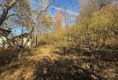 Teren langa pădure 6400mp-casa demolabile-deschidere 35 ml - 3