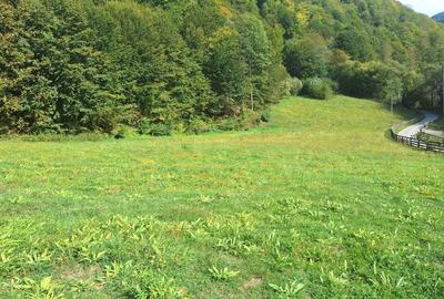 Spațiu comercial, în Măguri - 7