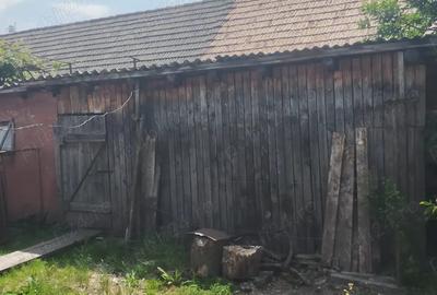 Vand casa Ru?ii Munti - 8