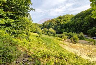 DE VANZARE - Teren intravilan, Coas, Maramures (0% comision) - 3