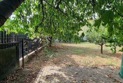 Casă cu 4 camere cu Teren 800 Mp în Valea Adâncă - 8