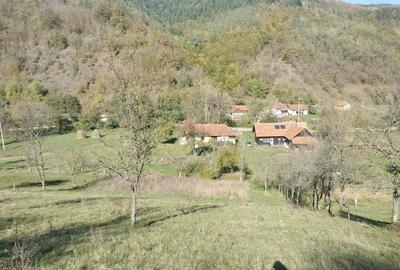 Teren de 3562 mp, în Vața de Sus - 3