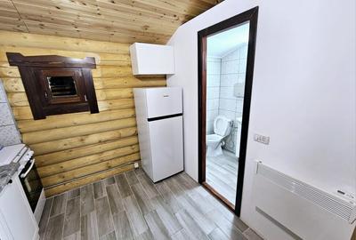1140mp si cabana Obarsia Lotrului Transalplina 3km partia ski, TOATE UTILITATILE - 16
