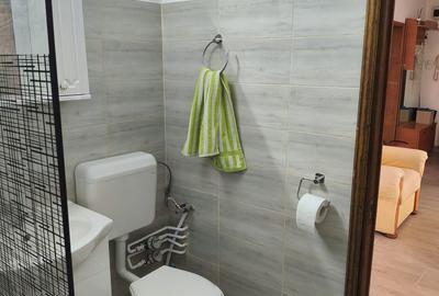Apartament cu 3 camere decomandat, mobilat în Muncii - 5