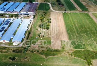 Teren Intravilan - Gilau - Autorizatie Construire Hale - 5