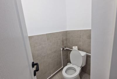 Spatiu comercial. 163mp, Calea Bucuresti - 5