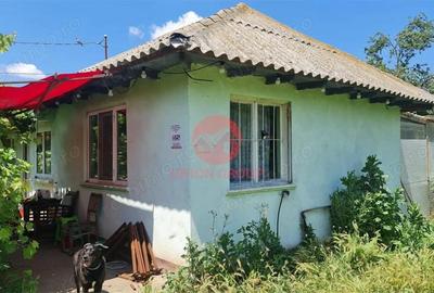 Casă cu Teren 1711 Mp în Topraisar - 2