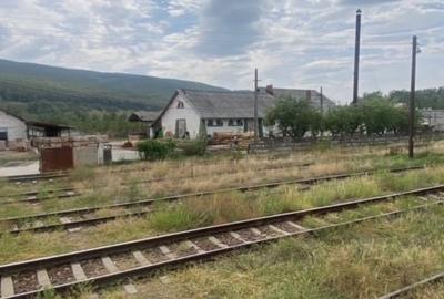Fabrica de prelucrarea lemnului Valea Buzaului. - 19