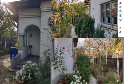 Casă individuală cu 2 camere în Rovine