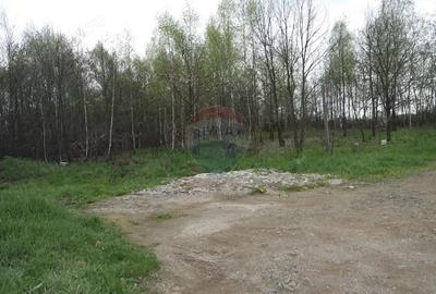 Teren de vanzare intravilan Tau?ii Magherau?/Busag - 3