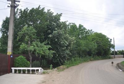 Teren Construcții intravilan în Budești