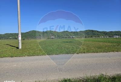 Spațiu comercial, în Crăciunești - 7