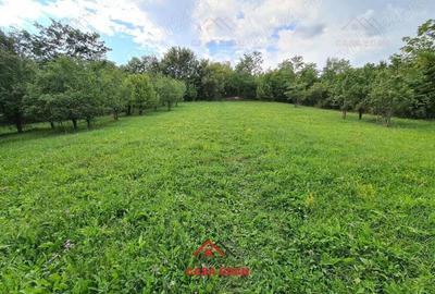 Teren intravilan in Poiana Campina--3287mp--10e - 9