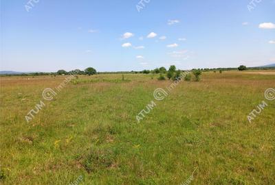 Teren intravilan 5000 mp pe Valea Avrigului, Sibiu - 8