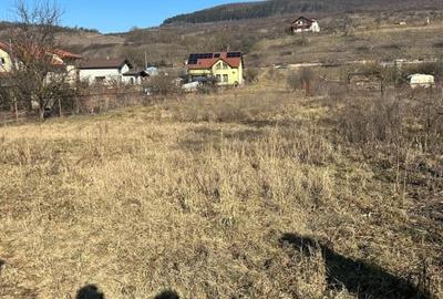 Teren intravilan pentru casa 2400 mp front 16ml Radaia sub pretul pietei - 1