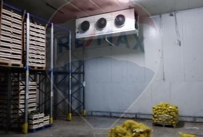 Spațiu industrial, de 4,600 mp, în Afumați - 8