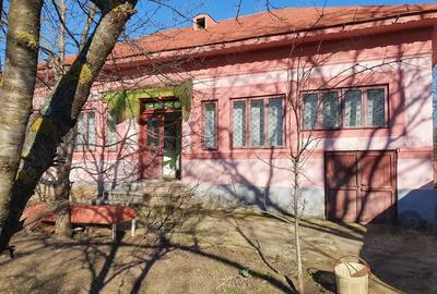 Casă cu 3 camere în Valea Stanciului - 1
