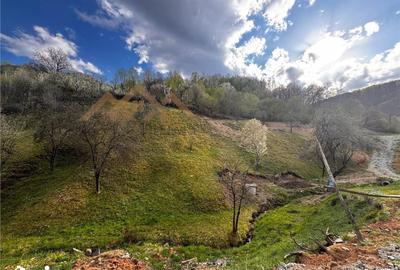 Teren de 5000 mp, în Tăuții-Măgherăuș - 10