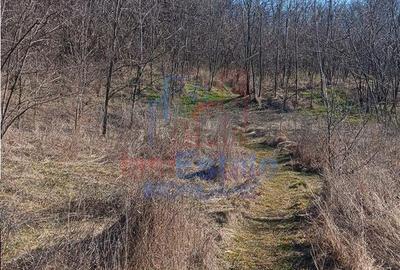 Spațiu comercial, în Cercu - 12