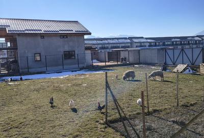 Teren Construcții intravilan de 500 mp, în Tărlungeni - 6