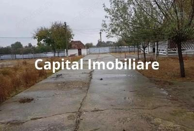 Ferma langa Oravita 5600 mp construiti si teren 24281 intravilan - 8
