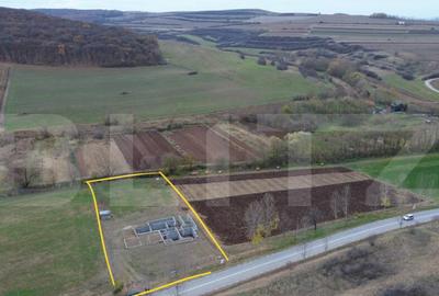 Teren intravilan cu proiect de casa 2600, zona Hapria - 9