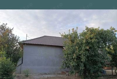 Casă cu 3 camere în Segarcea-Deal - 2