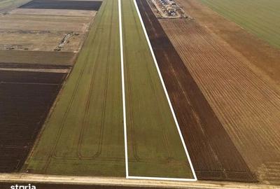 Teren de 38500 mp, în Tărlungeni - 1