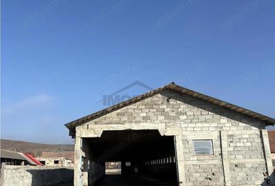 Spațiu comercial, de 4,800 mp, în Araci