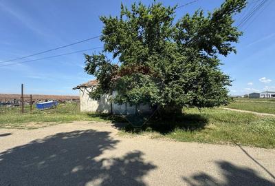 Teren 11.404mp, Biharia la 1km de Autostrada A3 - 15