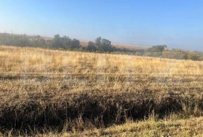 Teren de 2500 mp, în Bucovăț - 2