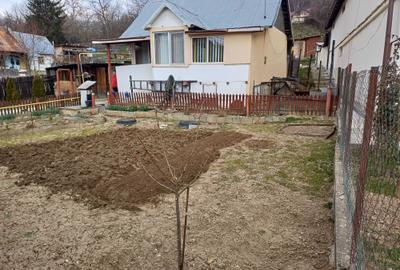 Casă cu 3 camere în Mislea